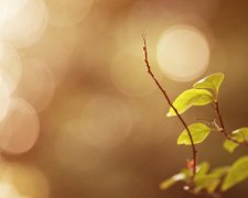 姓欧阳男孩四个字名字大全 欧阳姓4个字男宝