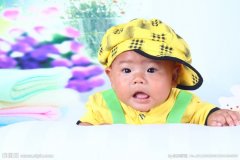 给狗宝宝起名