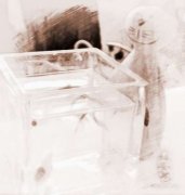 财位 养鱼