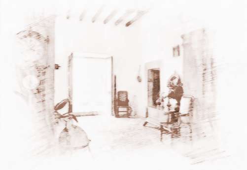 蛇年家居风水大全