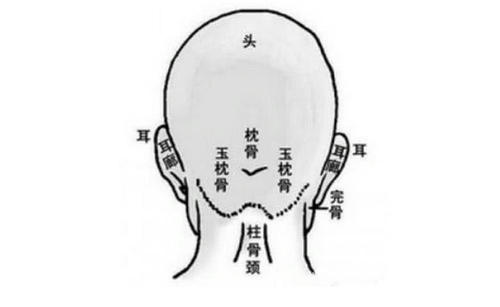 后脑勺反骨是什么意思，反骨人是人才吗？