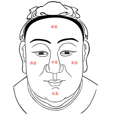 面相五岳图 面相五岳图