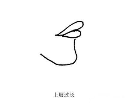 面相图解-嘴唇 面相图解-嘴唇