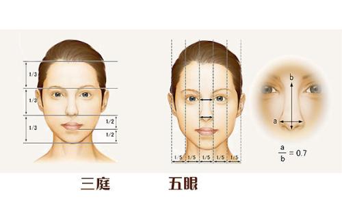 面相解读：三庭五眼与黄金分割