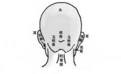 后脑勺反骨是什么意思，反骨人是人才吗？