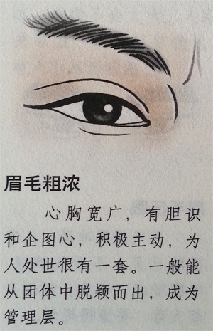 《看相识人》