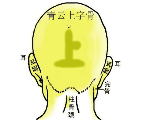 青云上字骨