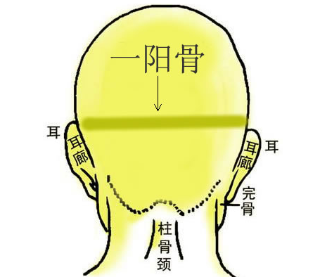 一阳骨