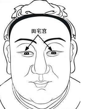 相学经典：《麻衣相法》面相十二宫图文详解大全