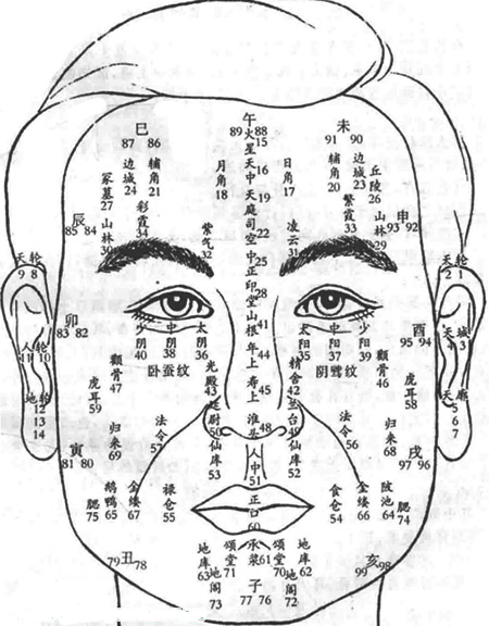 面相图解百岁行运断法(1-11岁)