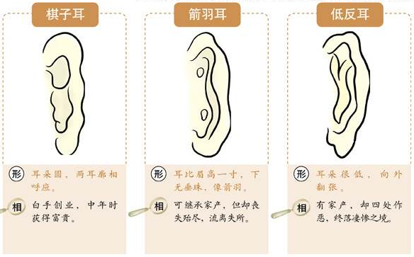 耳朵看命,耳朵看福气,耳朵看运势