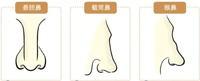 从鼻子看人生运势面相