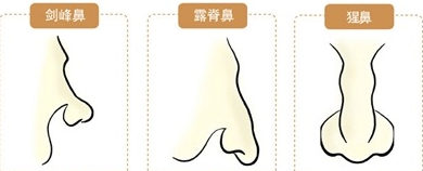从鼻子看人生运势面相