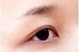 半截眉毛面相算命