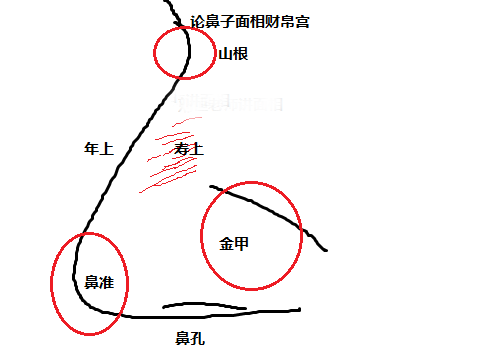 《麻衣相法》刘恒注解，鼻子面相之财帛宫