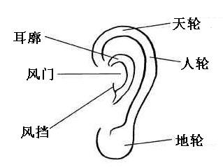 耳朵上长痣有什么寓意