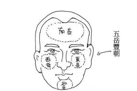 富贵傲人面相手相特征