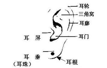 男人耳朵长痣面相图 耳背有痣的男人易犯小人