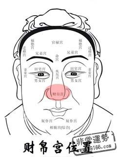 痣的位置与命运图,痣长在哪里好