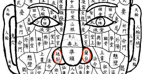 兰台有痣，廷尉有痣