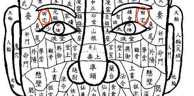 田宅有痣 田宅有痣