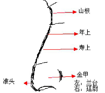 男人鼻子长痣面相图解