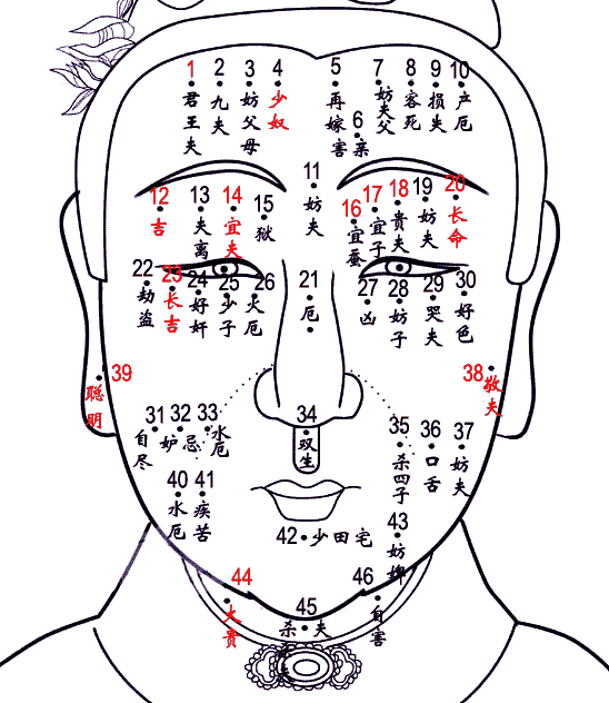 男性痣相图解，女性痣相图解