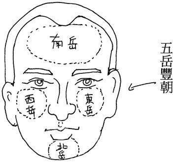 鼻头长痣非富即贵 鼻上各部位长痣命理几何