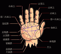 手相入门知识