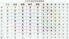 八字天医什么意思