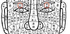 精舍有痣，光殿有痣