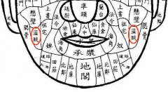 盗贼有痣