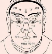 面相十二宫福禄详解，十二宫面相法图解