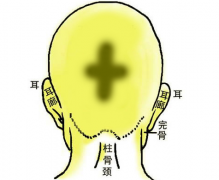 28.金锁十字骨