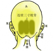 7.连璧三寸枕骨