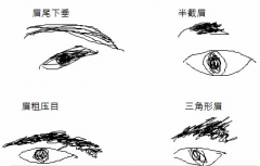 民间眉毛面相论贵贱：眉短于目，心性孤独