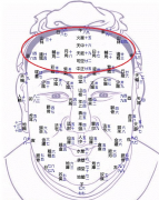 什么是天庭面相，天庭在哪个部位