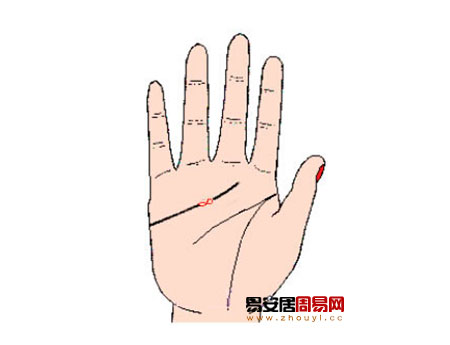 感情线岛纹