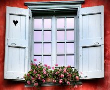 办公室植物摆放风水禁忌