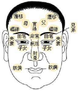 男子面相看五官攻略
