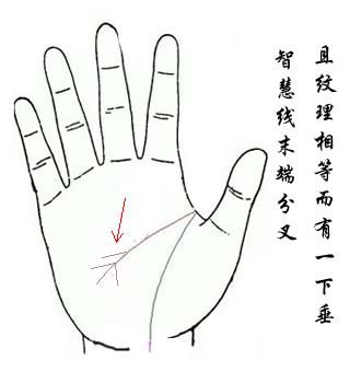 解说智慧线末端分叉8