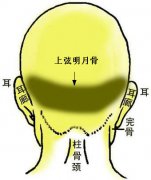 骨相大全——两弦明月骨