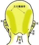 骨相大全——左右撒插骨