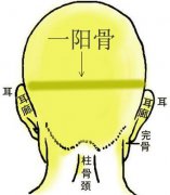 骨相大全——一阳骨