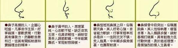 看鼻子面相知道人的善恶