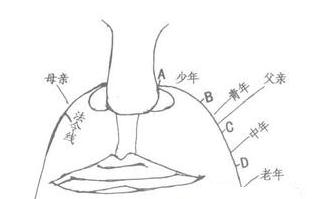 左右法令纹长短不一样预示