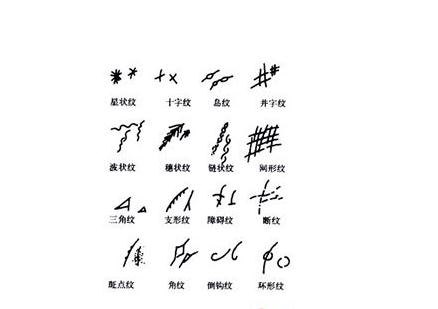 通过看智慧线判断自己的健康状况