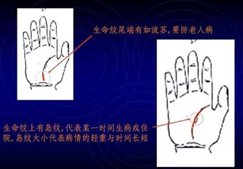 男女通用的简易手相算命图解