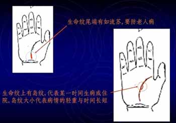 简易手相算命图解