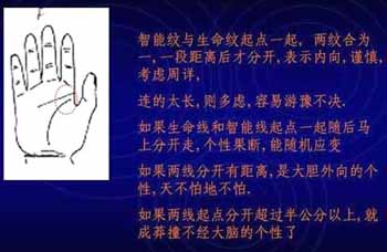 简易手相算命图解